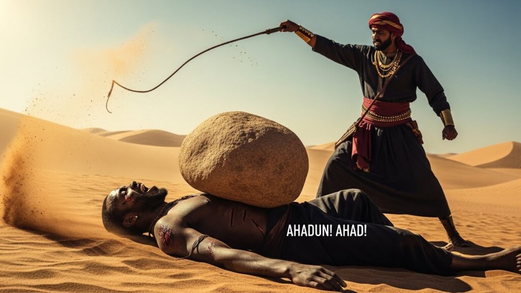 whisk ae5d603f6ddb7f5b8fd4e4814935374edr